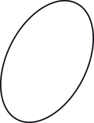 Ideal Standard O-Ring 47,35 x 1,78 Bild 2