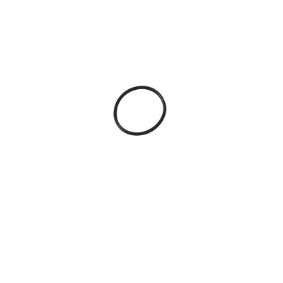 Kludi O-Ring 18 x 1,15 Kunststoff, Farbe schwarz Bild 2