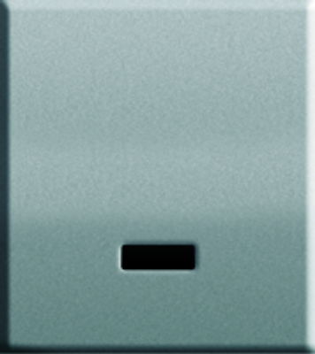 Pauli + Menden Urinalsteuerung 825 Batterie Edelstahl 825 T2 Batterie, Farbe silberfarben Bild 2