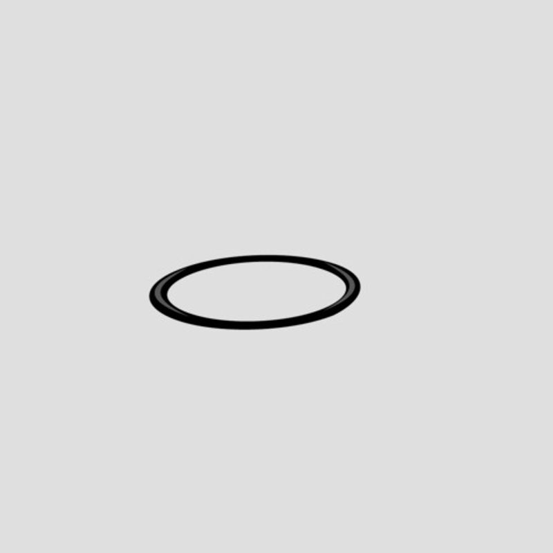 Sanit Ersatzrollring, 45 x 4 mm Bild 1