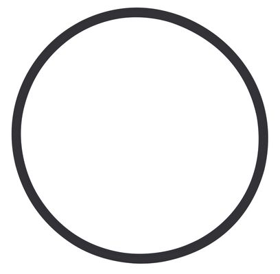 Sasserath SYR O-Ring Filtertasse, für Drufi+ Bild 2