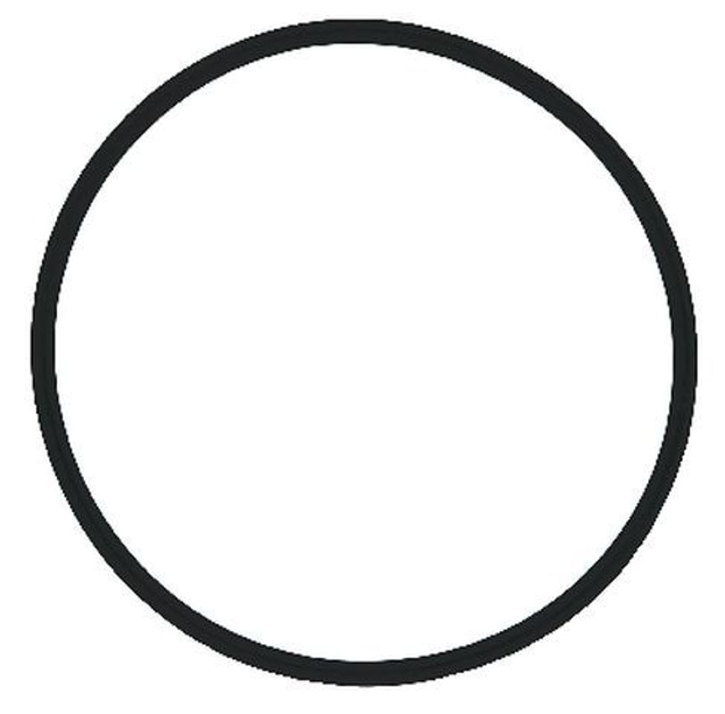 Sasserath SYR O-Ring Filtertasse, für Drufi+ Bild 1