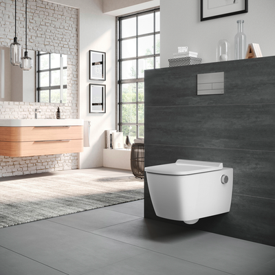Tece square II WC-Betätigungsplatte Metall, 2-Mengentechnik, 150 x 220 x 3 mm, Farbe schwarz Bild 3