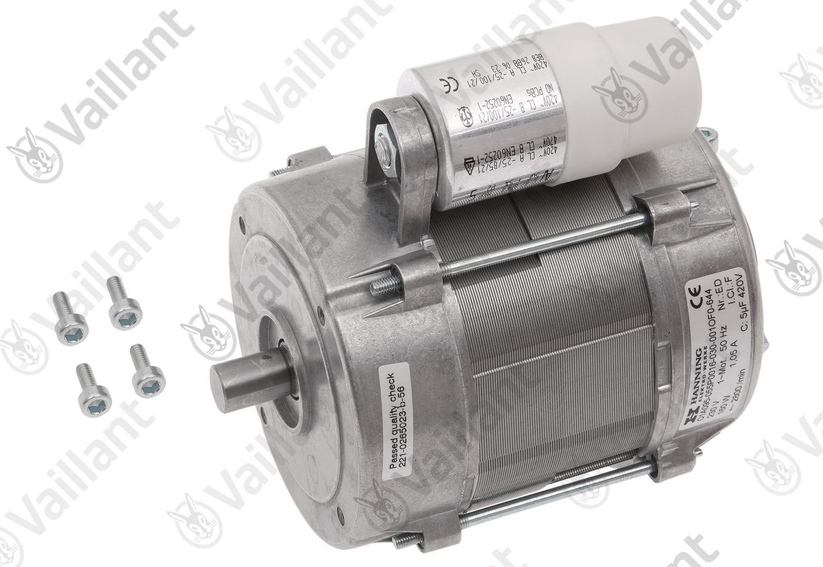 Vaillant Motor Bild 1
