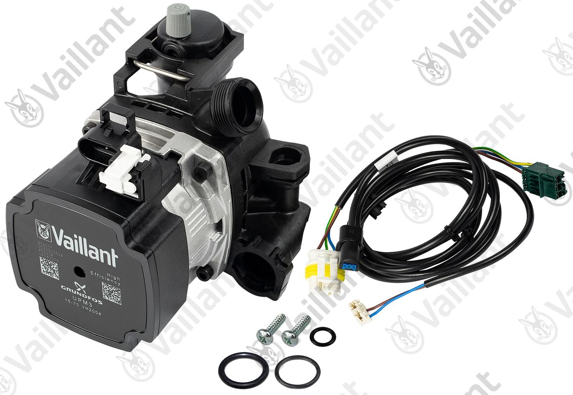 Vaillant Pumpe Bild 1