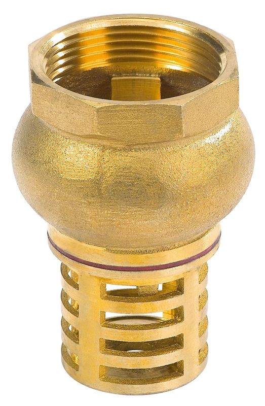 Wilo Mechanisches Zubehör Fussventil R 11/4, 127 x 42 x 42 mm Bild 1